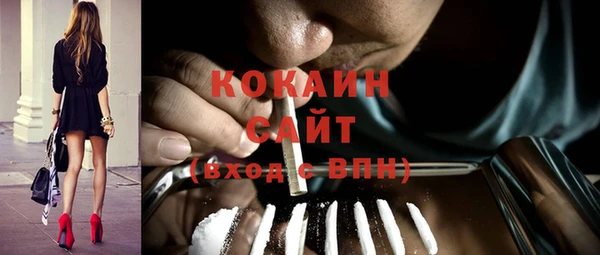 прущий лед Бородино