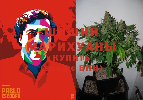 а пвп мука Верея