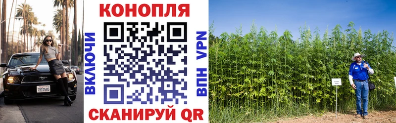 Бошки марихуана семена  дарк нет какой сайт  Северобайкальск  даркнет сайт 